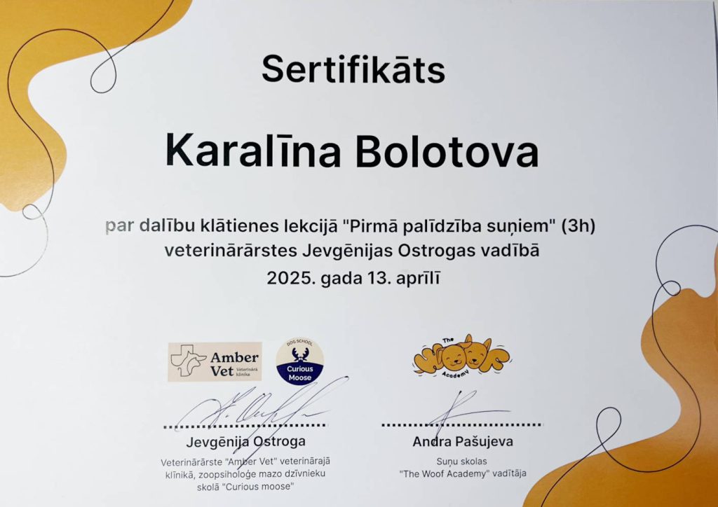 k_cert_04