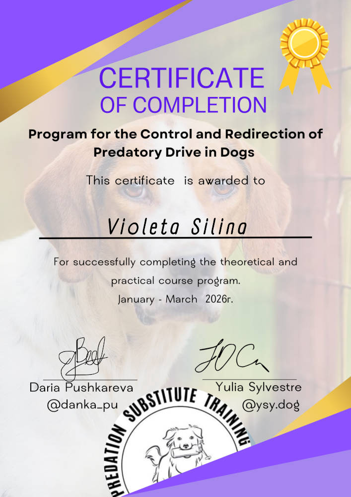 v_cert_01