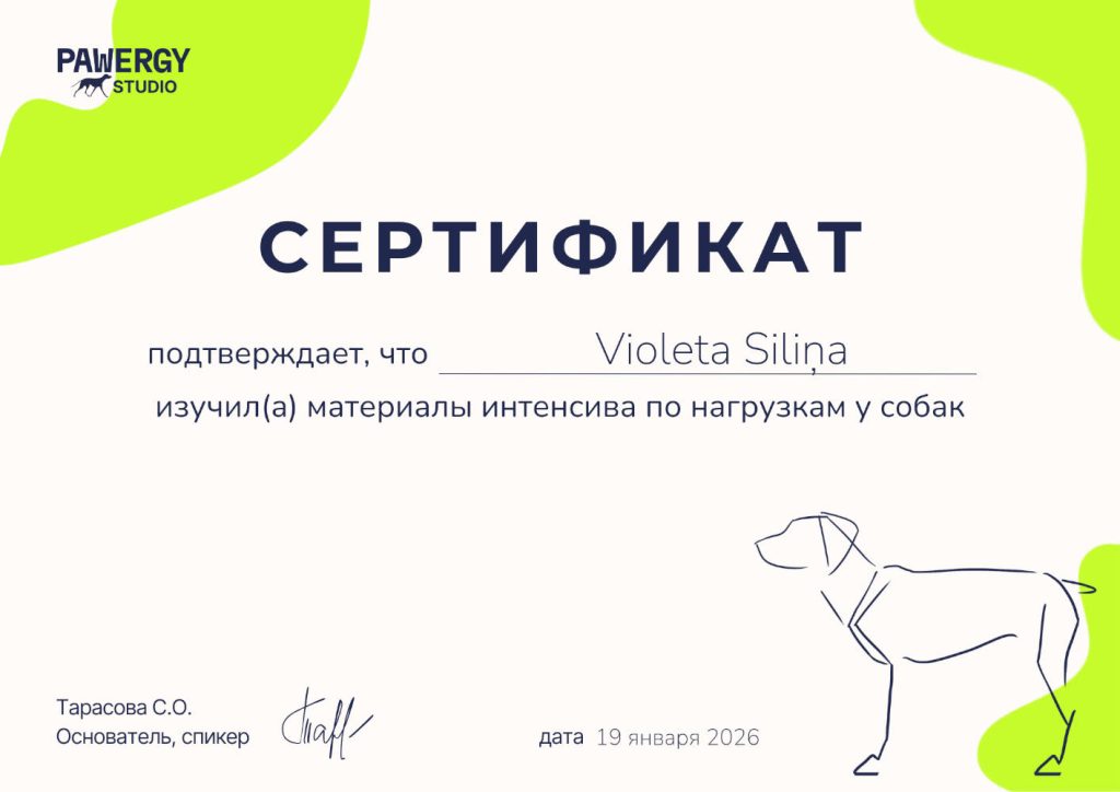 v_cert_02