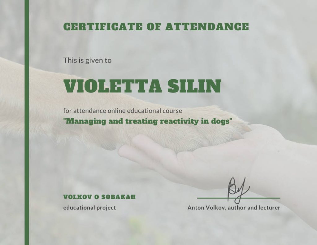 v_cert_05