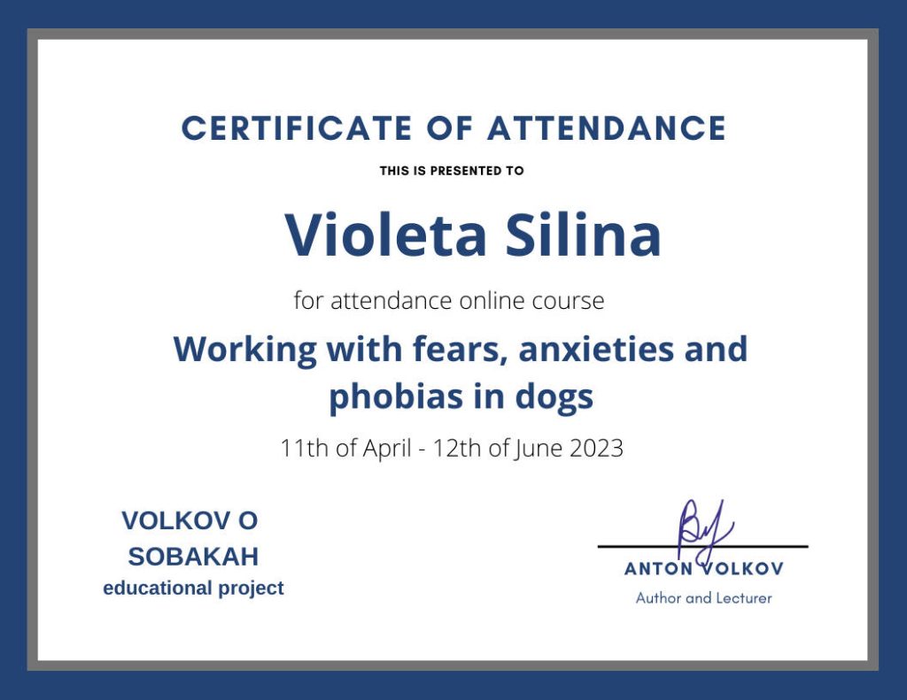 v_cert_06