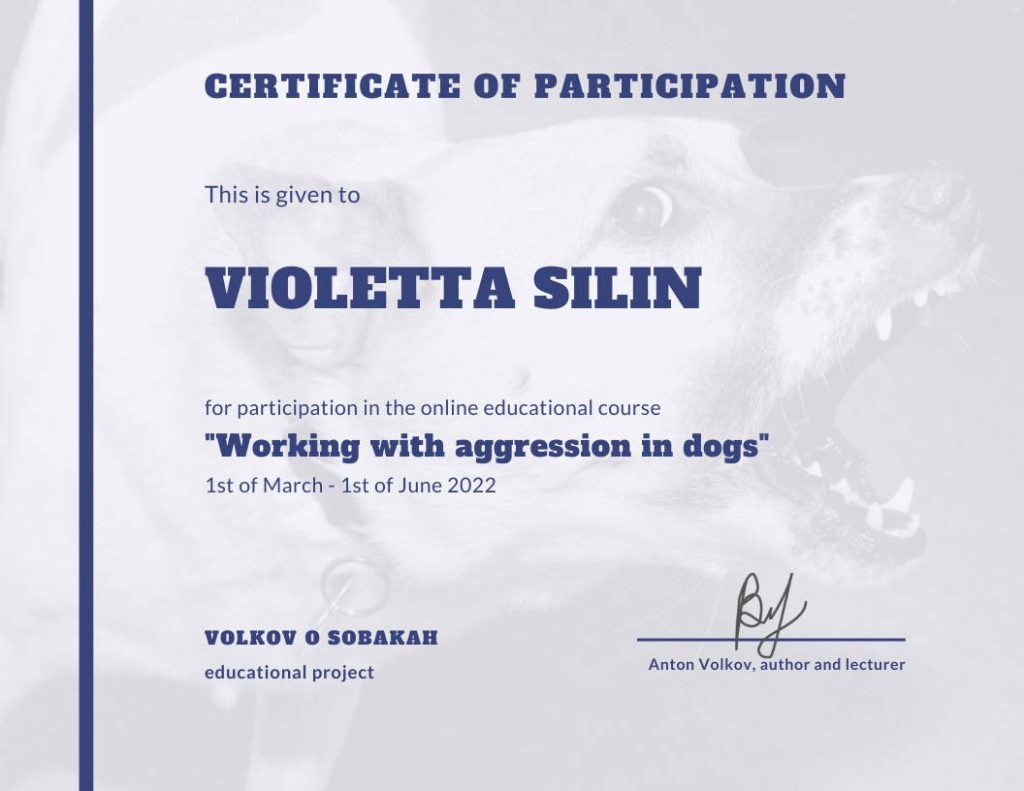 v_cert_09