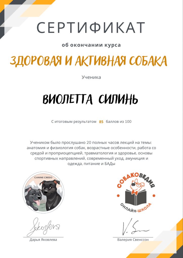 v_cert_10